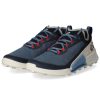 Herren Ecco Sportschuhe | Ecco Low Sneaker Biom 2.1 X Country