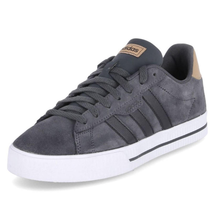 Herren Adidas Sportschuhe | Adidas Low Sneaker Daily 3.0